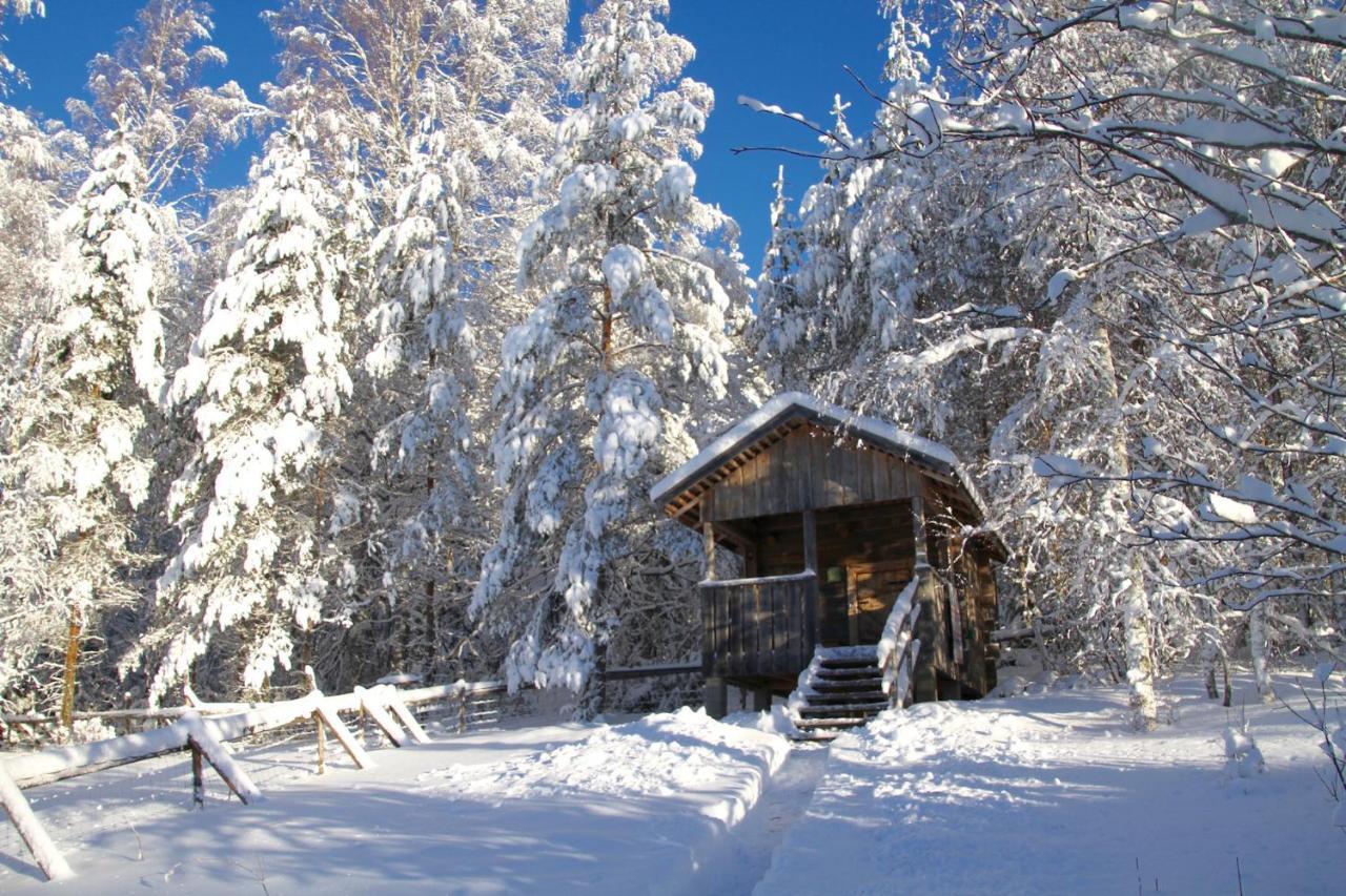 Kolin Mattila B&B Kolinkylä Екстериор снимка